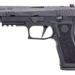 Sig Sauer P320 XFull