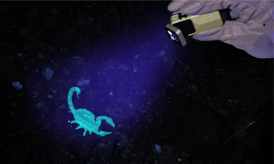 Olight Oclip 2 Ultra – detalj proizvoda
